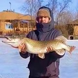 Новый рекорд на нашем пруду: поймана щука-гигант весом 8 кг!