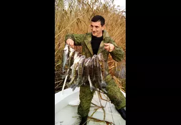 2019 Дом Солнца фото 3
