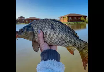 2019 Дом Солнца фото 44