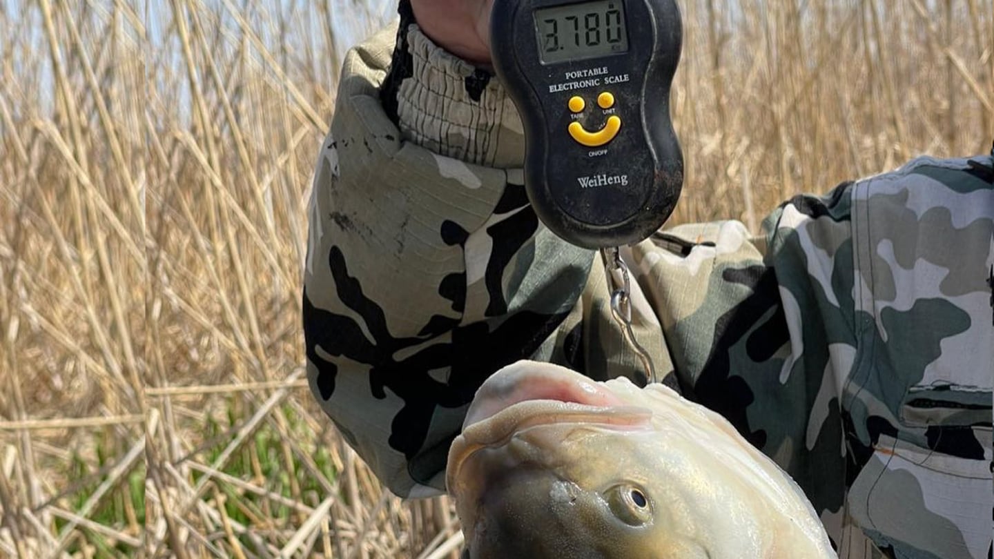 Рыбалка в Астрахани осенью
