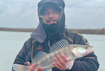 Превосходный клев Судака